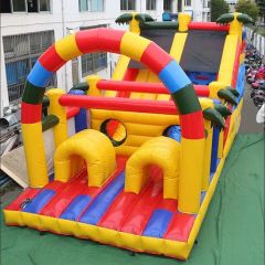 Custom Inflatable Water Slide for Adults and Kids Inflatable Slide - Image 2