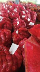 onions - Image 1