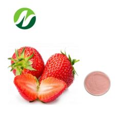 Hot Selling 4: 1~20: 1 Strawberry Juice Powder - Image 1