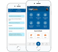 Traveler Utilities Services Web Check-in Easy 24hour Support Yes Mobile App User Friendly Apple Pass Creation Available Frequent Flyer Number Storage - Image 1