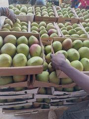 Agriculture, Food & Beverage - Image 1