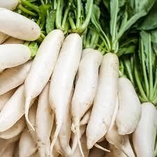 Fresh Radish Style Fresh Type Radish Taste Delicious Brand Name Primex Color Natural White Model Number Pmx2020 Place of Origin - Image 2