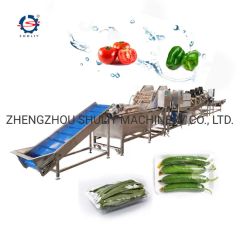 Top Quality Fruit and Vegetable Processing Line Potato Cleaning Machine - Image 1