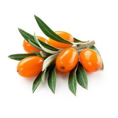 Sea buckthorn berry powder - Image 1