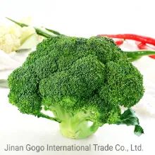 Organic Frozen Broccoli Pieces in Various Sizes HS Code 0710809090 Storage Temperature <-18℃ Production Capacity 2000 - Image 5