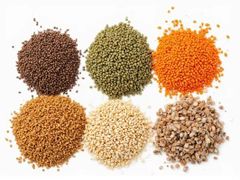 LENTILS – product photo 1, product detail gallery