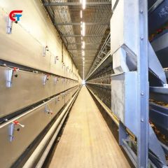 Battery Automatic Factory Made 2024 New Design Poultry Farm Layer Cage - Image 6