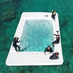 Drop Stitch Sea Swimming Pool Inflatable Jellyfish Sea Pool for Sale - Image 2