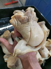 WHELK MEAT / CONCH MEAT Packaging IWP, BLOCK Origin Campeche, Mexico Main Markets Asia, Americas Weight (kg) -100 GR AND 100 GR UP - Image 5