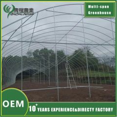 Premium Galvanized Steel Rectangular Profiles for Greenhouse Structures - Image 5