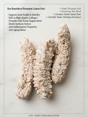 Dried Sea Cucumber - Image 5