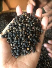 Premium Black Pepper from Sumatra, Indonesia – product photo 2, product detail gallery