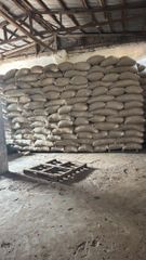 Cocoa beans - Image 5