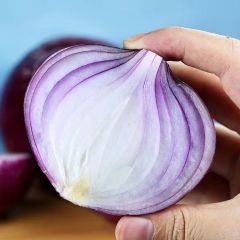 Best Selling Freshness Frozen Onion Dice - Image 5