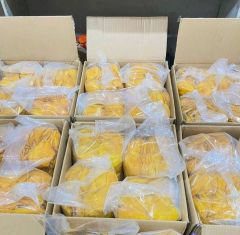 Soft Dried Mango Ready to Eat Healthy Tropical Fruit Snack Private Label Wholesale Manufacturer - Image 5