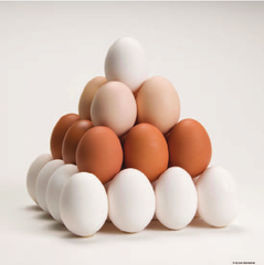 Egg – product photo 1, product detail gallery