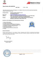 BV-Audit certificate of Foshan Ringnok Leather Industry Co., Ltd. – certificate photo, supplier certificates section