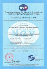 OHSAS18001:2007 certificate from Jiangsu Dalongkai Technology Co., Ltd.