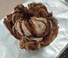Coconut Shells [Husk] Wholesale Supply - Image 5