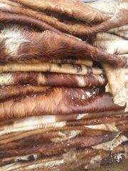 Quality Dry Donkey Hides, Wet Blue Cow hides and wet salted cow hides available - Image 3