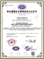 Certificates certificate from Wenzhou Longqi Import and Export Co., Ltd.