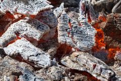 Wood Ash Powder (100% Natural, No chemicals, binders or additives, Plant-based fertilizer) - Image 3