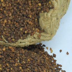 Fresh Natural Whole White Humera Sesame Seed from Ethiopia High Oil Content Best Price - Image 3