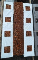 Coco Coir Hydroponics Grow Bag Grade A Type Grow bag Packaging - Image 1