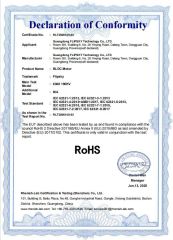 RoHS certificate from Guangdong Flipsky Technology Company Ltd.