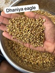 Coriander Seed - Image 2