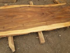Company – thumbnail 5 of 12, supplier detail gallery