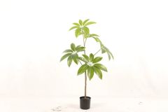 Umbrella Tree New Style Ecofriendly Artificial Plant - Image 1