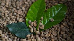 Coffee Beans & Coffee – product photo 5, product detail gallery