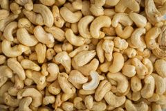 Wholesale Premium Cashew Nuts (W320/W240) – Bulk Supply for Export & Food Industry - Image 1