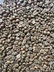 Robusta green beans – product photo 2, product detail gallery