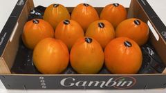 Fresh Persimmons – product photo 3, product detail gallery