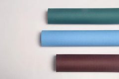 Premium Multiple Color Anti-Slip Mats Yoga Mat Fitness Professionell Custom Design - Image 3