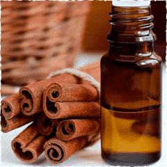 Cinnamon Essential Oil Place of Origin Vietnam Packaging 10ml, 20ml, 50ml glass bottle, 5l, 10l - Image 1