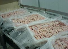 Wholesale Halal Chicken Feet / Frozen Chicken Paws Brazil / Fresh Chicken Wings and Feet and Paws - Image 1