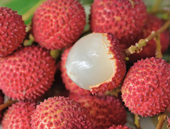 Litchi Fruit - Image 4