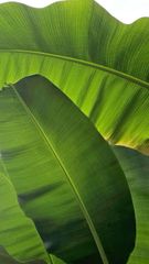 Company – thumbnail 6 of 7, supplier detail gallery