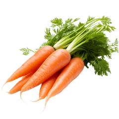 Fresh Carrots Farm Fresh Premium Quality Carrot Supplier Wholesale Bulk Fresh Vegetables - Image 1