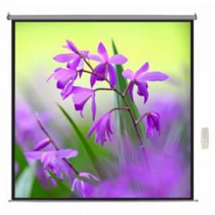 White 25mm Motorised Projection Screen, For Office, Screen Size: 100 Inch - Image 1