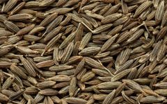 cumin seed - Image 1