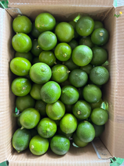 Seedless Lime – product photo 5, product detail gallery