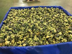 FROZEN BROCCOLI – product photo 1, product detail gallery