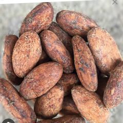 Cocoa Beans – product photo 2, product detail gallery