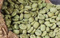 Coffee Beans Guji - Image 1