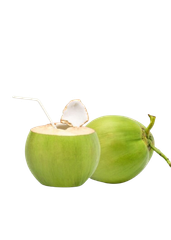 Big Sale - Vietnam Fresh Coconut-/Dried semi-coconut/ Desiccated Coconut fruit export USA,UK, EU market – product photo 3, product detail gallery