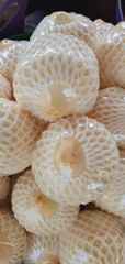 Company – thumbnail 1 of 1, supplier detail gallery
